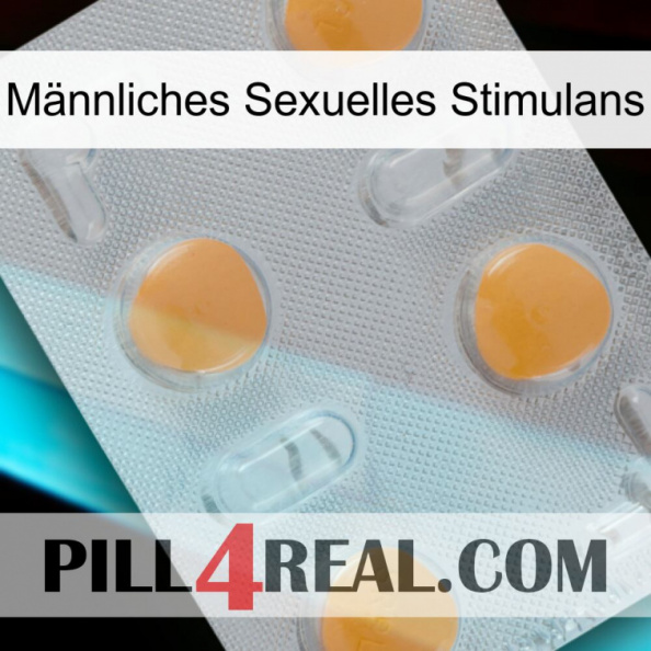 Männliches Sexuelles Stimulans 24.jpg